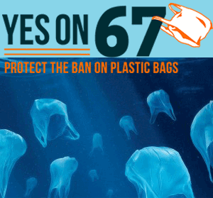 yeson67image